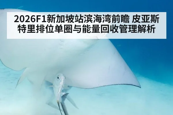 2026F1新加坡站滨海湾前瞻 皮亚斯特里排位单圈与能量回收管理解析