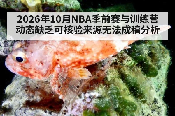 2026年10月NBA季前赛与训练营动态缺乏可核验来源无法成稿分析